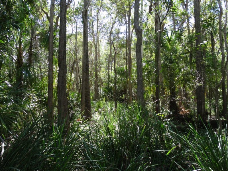 Real Estate in Lowmead