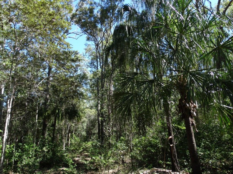 Selling your property in Lowmead