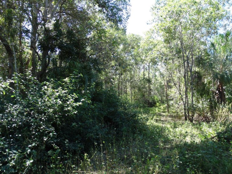 Real Estate in Lowmead