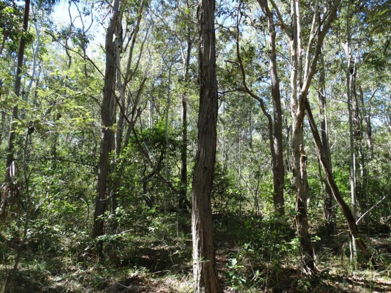 Real Estate in Lowmead