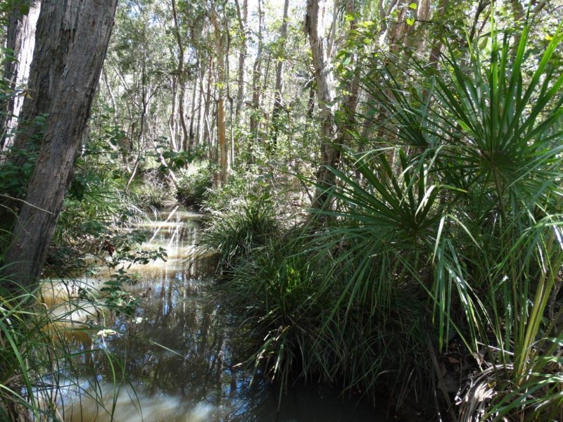 Real Estate in Lowmead