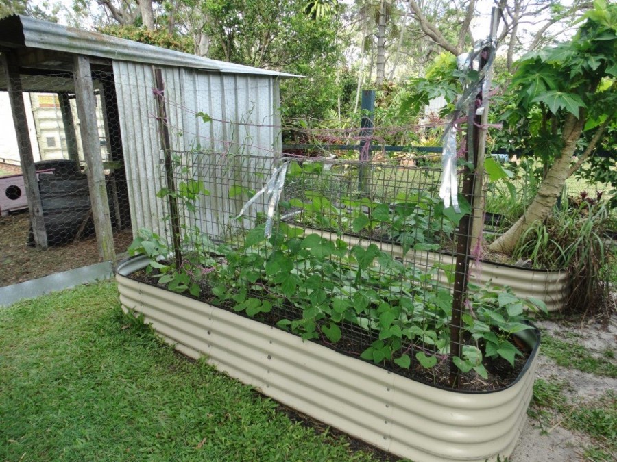 Real Estate in Miriam Vale