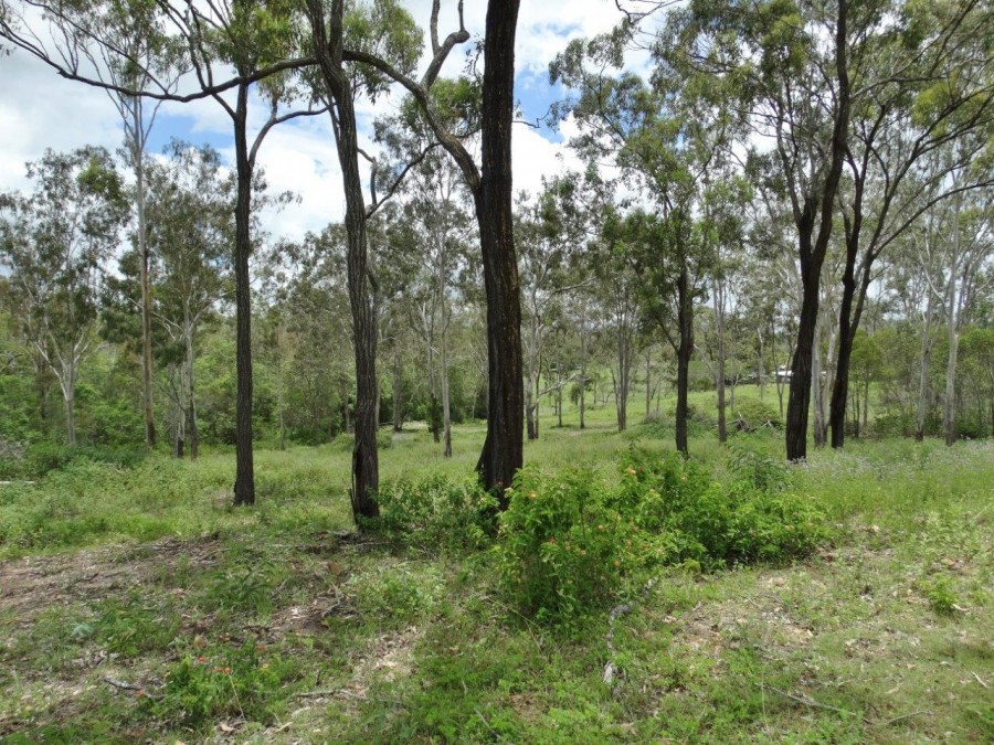 Real Estate in Lowmead