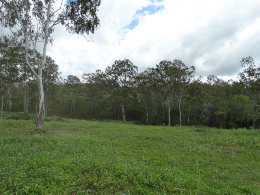 Real Estate in Lowmead