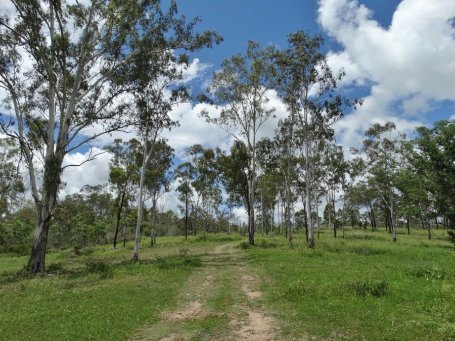 Real Estate in Lowmead