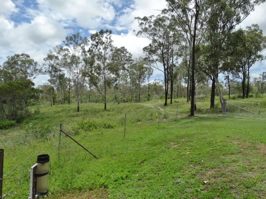 Real Estate in Lowmead