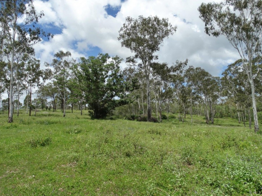 Real Estate in Lowmead