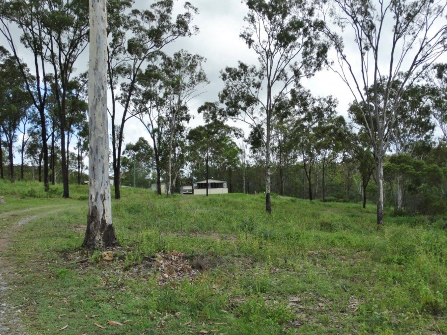 Real Estate in Lowmead