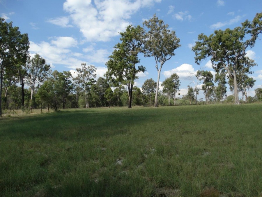 Real Estate in Miriam Vale