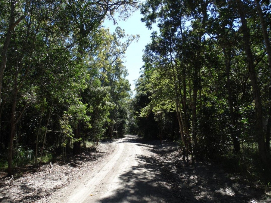 Real Estate in Baffle Creek