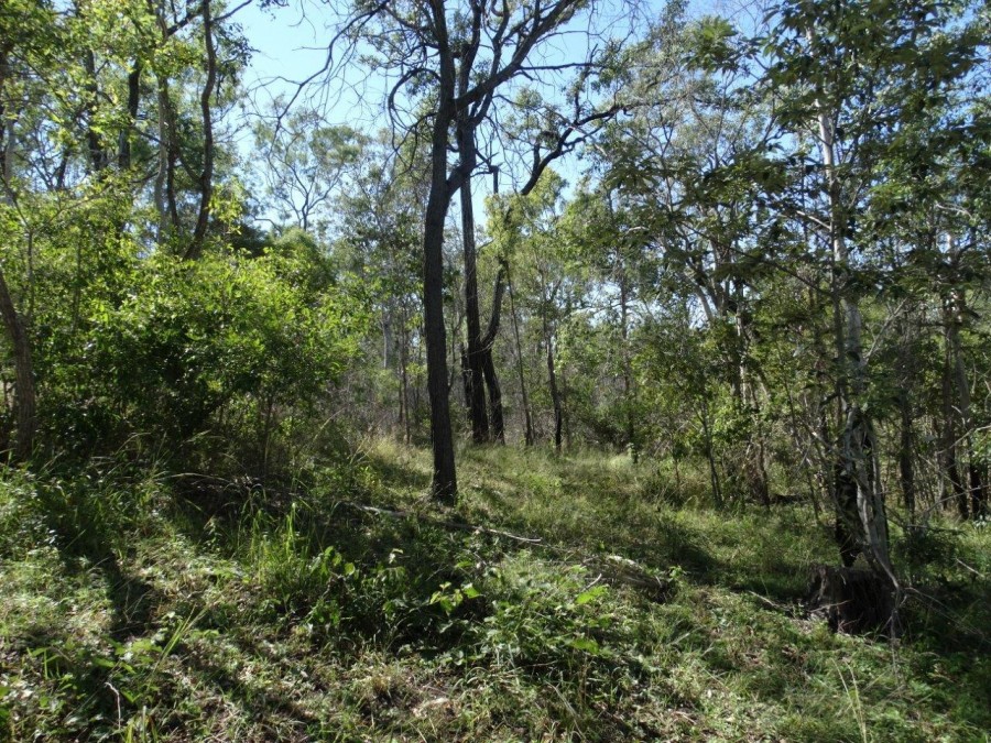 Real Estate in Rosedale