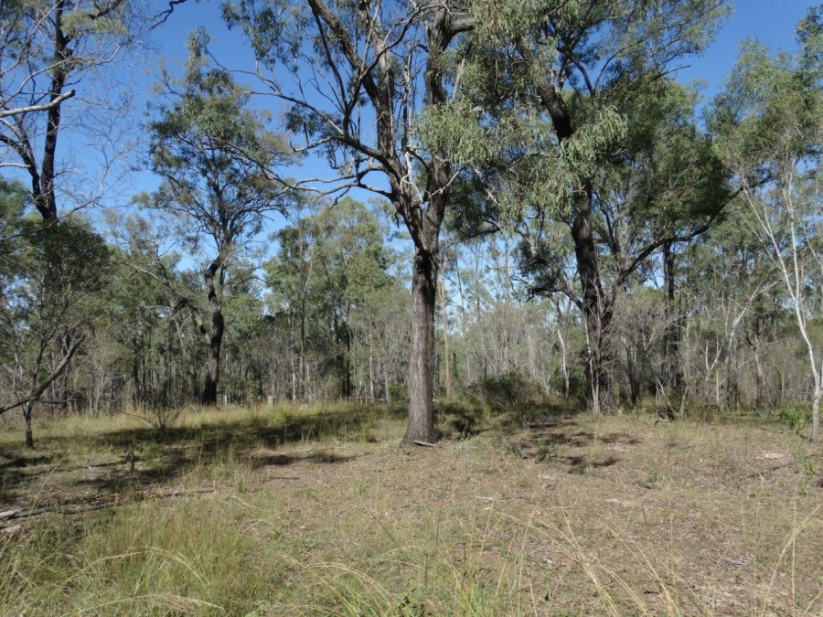 Real Estate in Rosedale