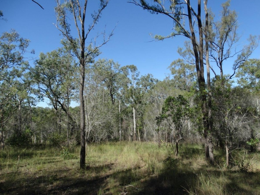 Real Estate in Rosedale