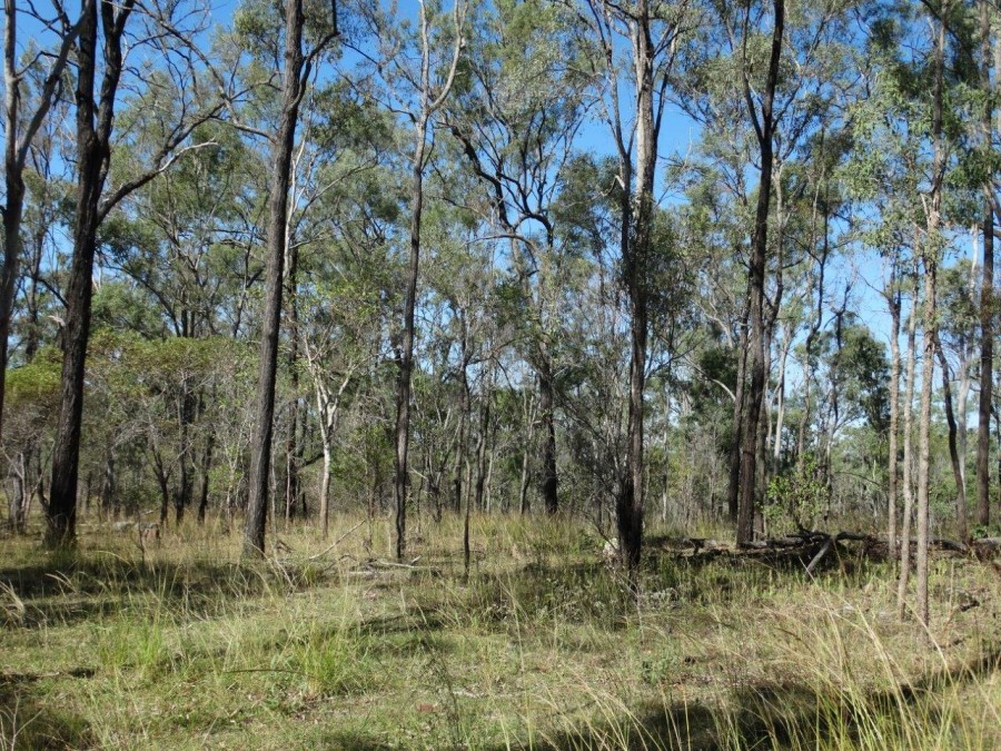 Real Estate in Rosedale