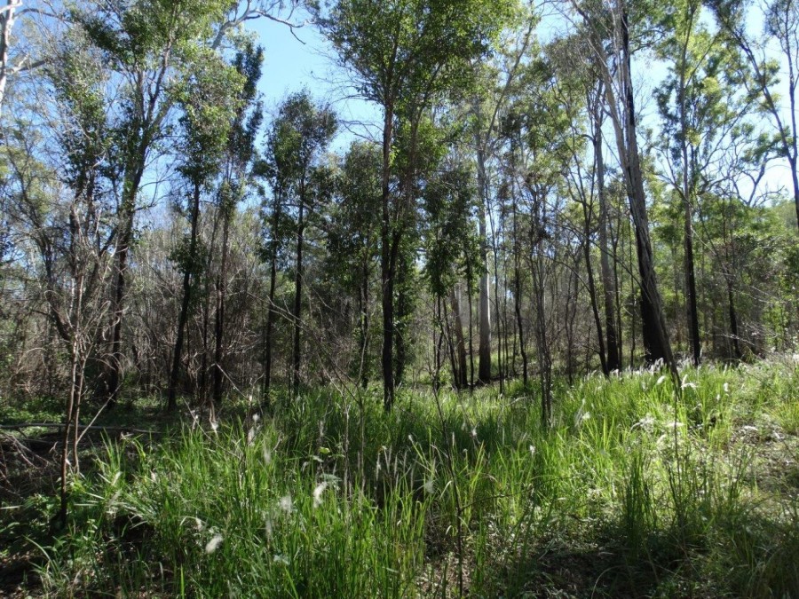 Real Estate in Rosedale