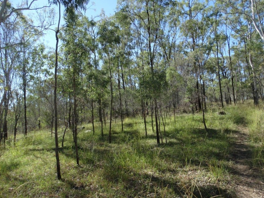 Real Estate in Rosedale