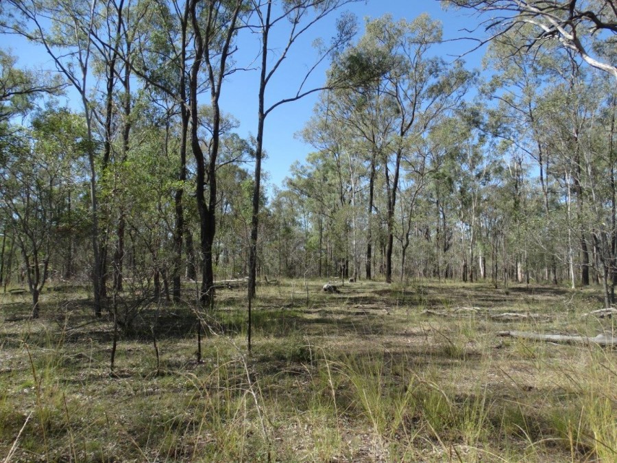 Real Estate in Rosedale