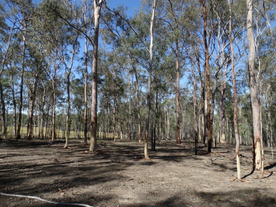 Real Estate in Rosedale