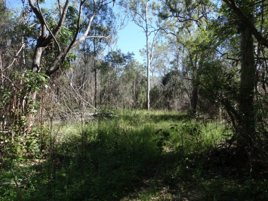 Real Estate in Rosedale