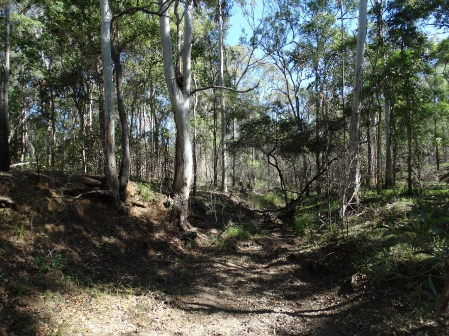 Real Estate in Rosedale