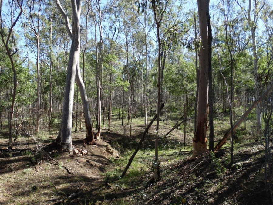 Real Estate in Rosedale