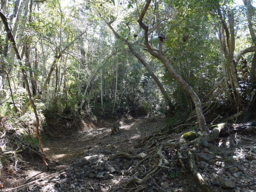 Real Estate in Rosedale