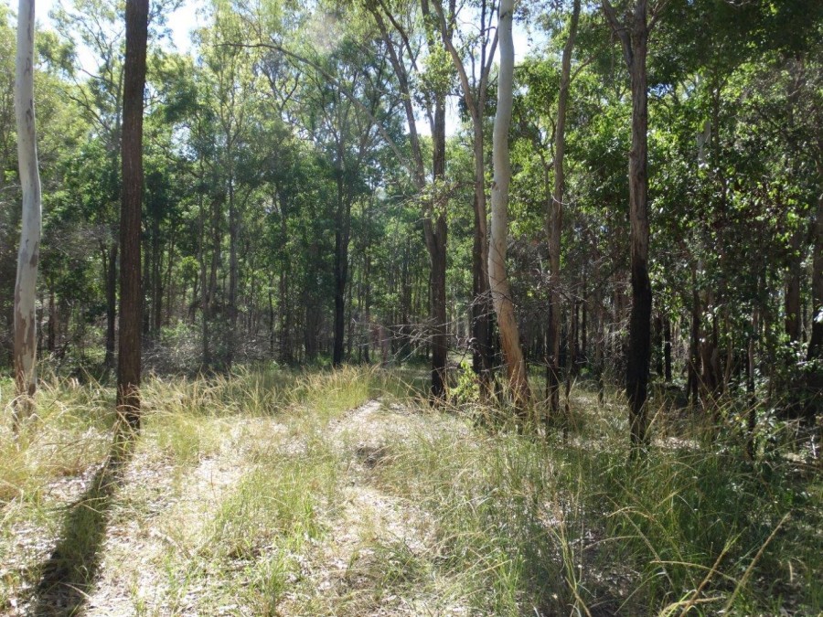 Open for inspection in Rosedale