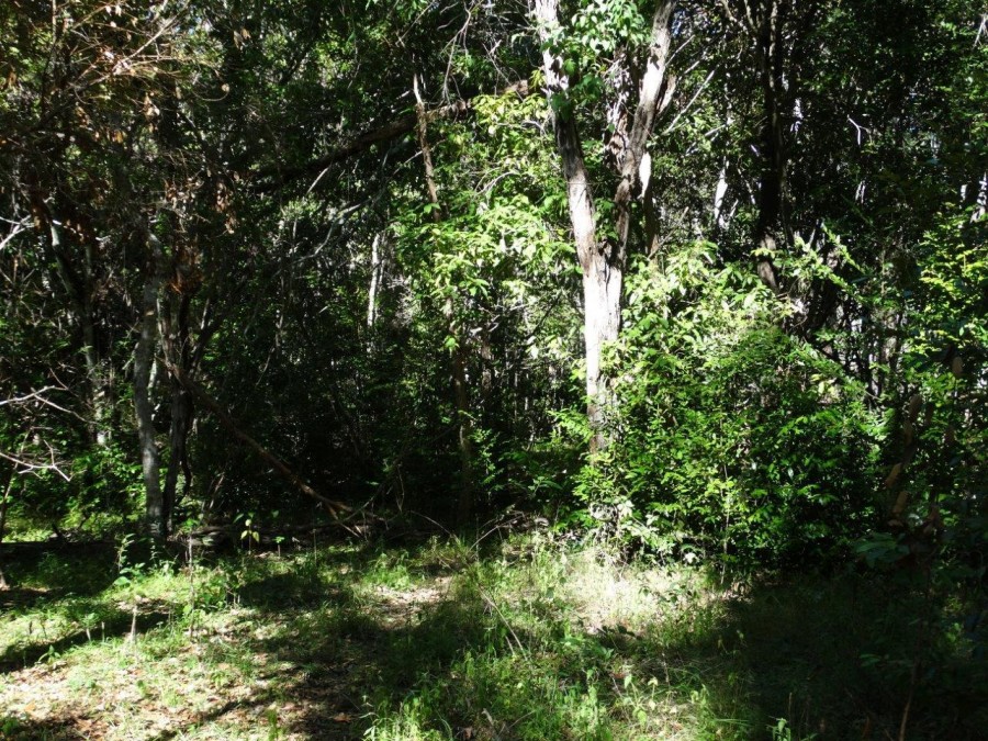 Selling your property in Rosedale