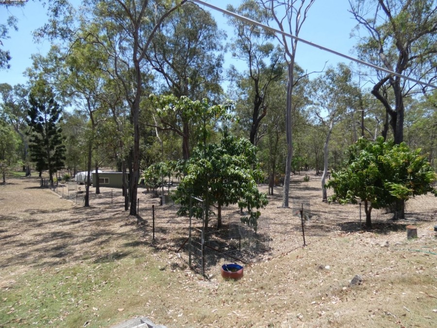 Real Estate in Mount Maria