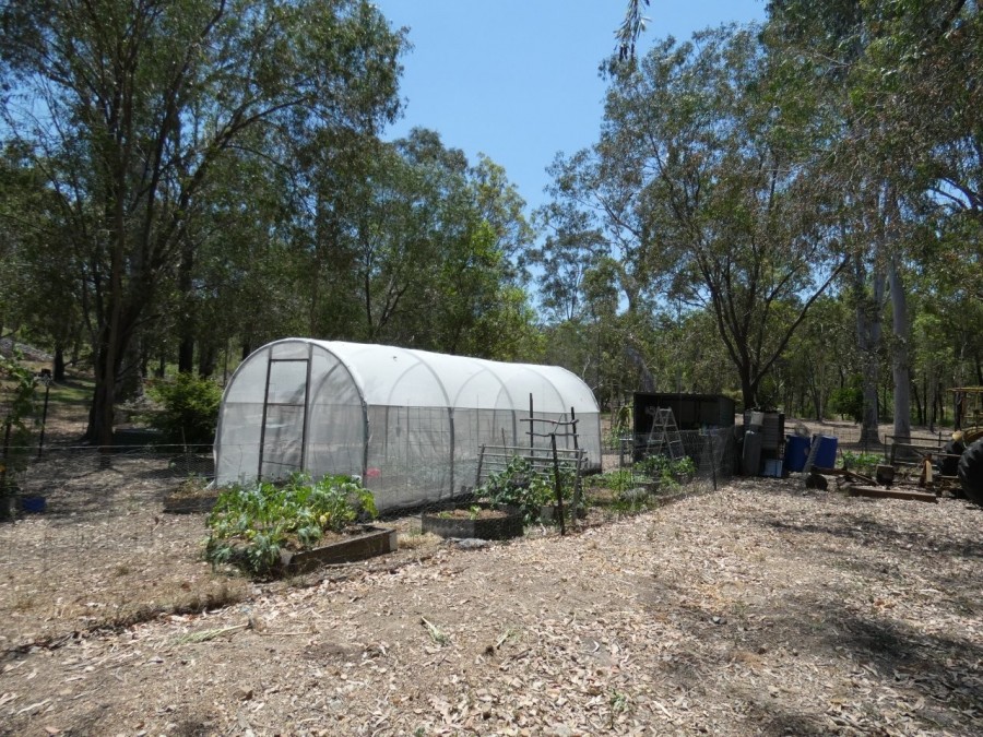 Real Estate in Mount Maria