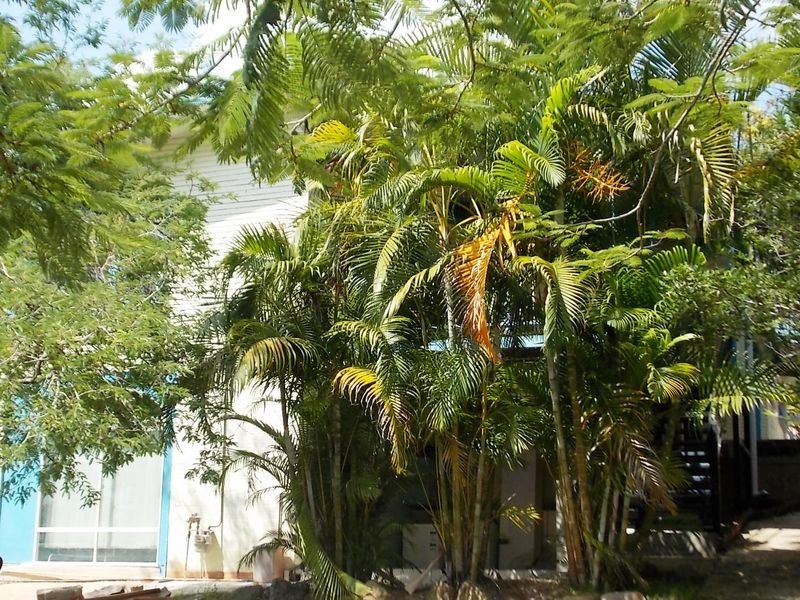 Real Estate in St Lucia