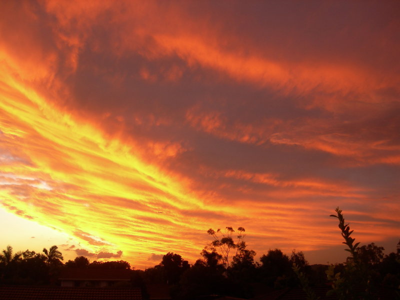 Real Estate in Carindale