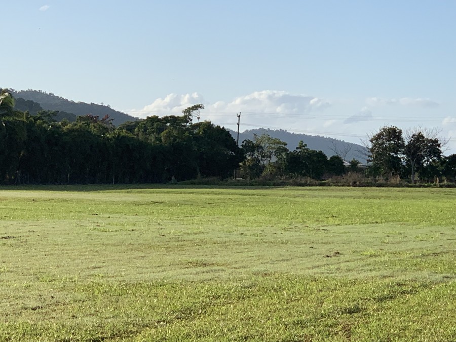 Babinda Real Estate > Home