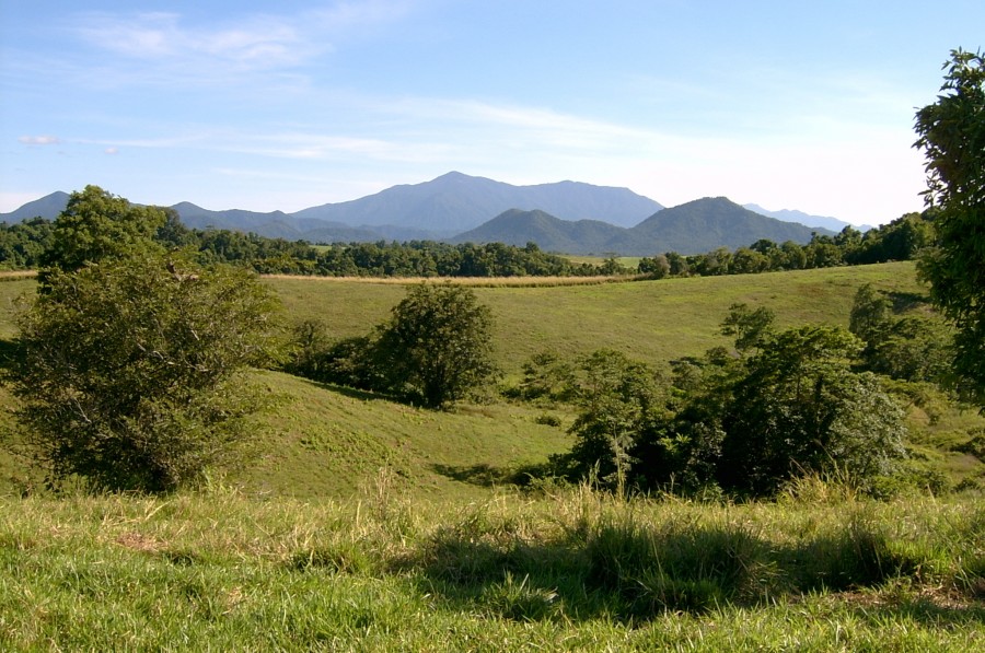 Property For Sale in East Palmerston