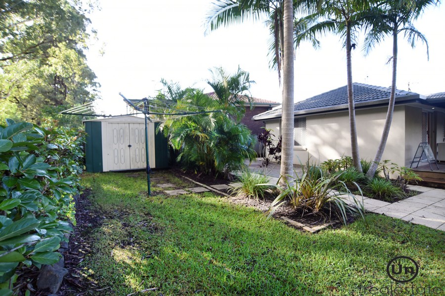 18 Archibald Place, Toormina - Rear yard