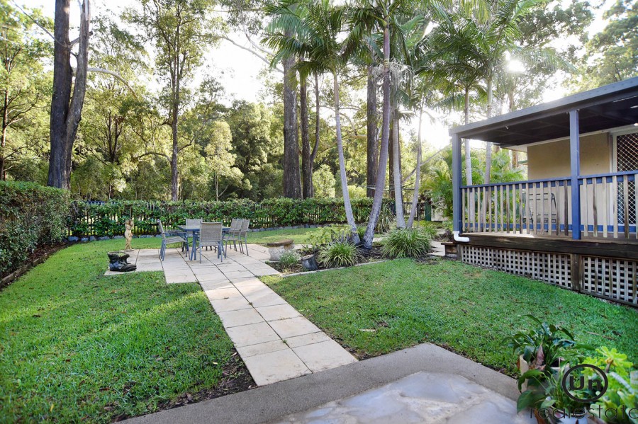 18 Archibald Place, Toormina - Rear yard
