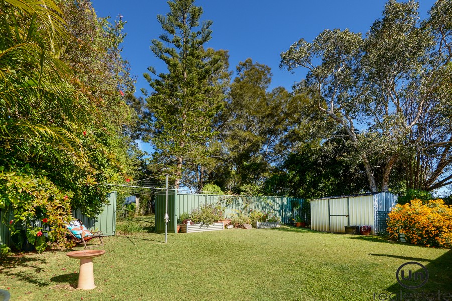 32 Mirroola Crescent, Toormina - Rear Yard