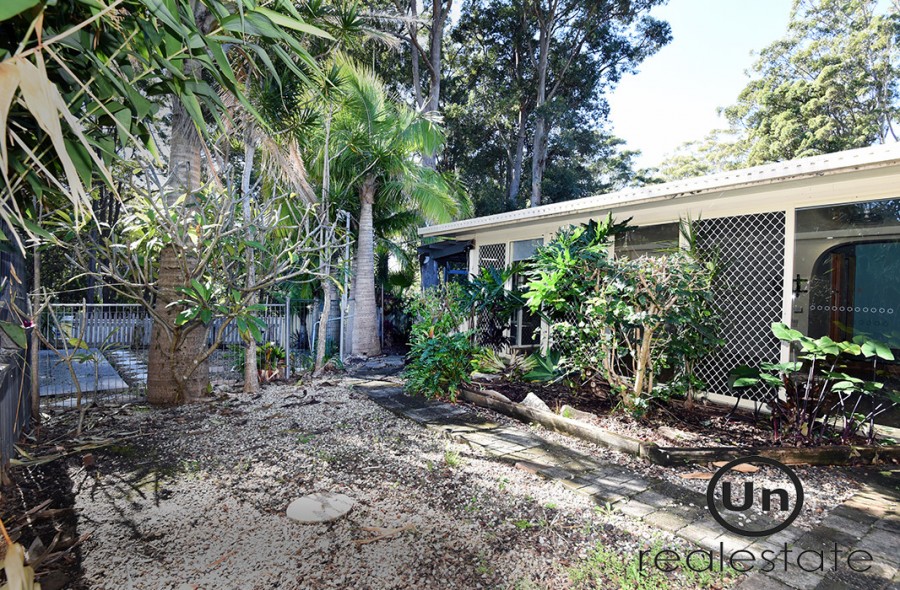 12 McGregor Close, Toormina - Rear yard