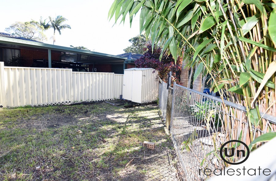 12 McGregor Close, Toormina - Rear yard with garde