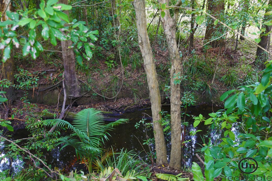 18 Cordwell Grove, Boambee East - Creek