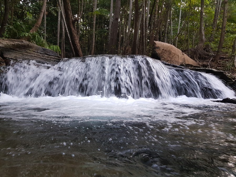 Property For Sale in Berry Springs