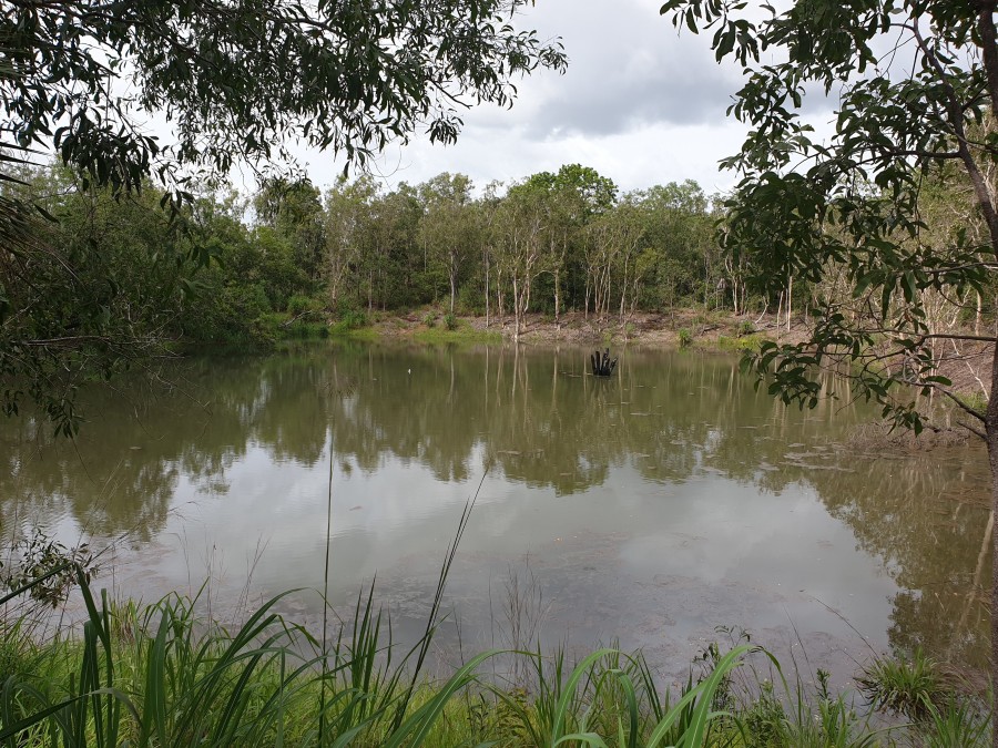 Real Estate in Berry Springs