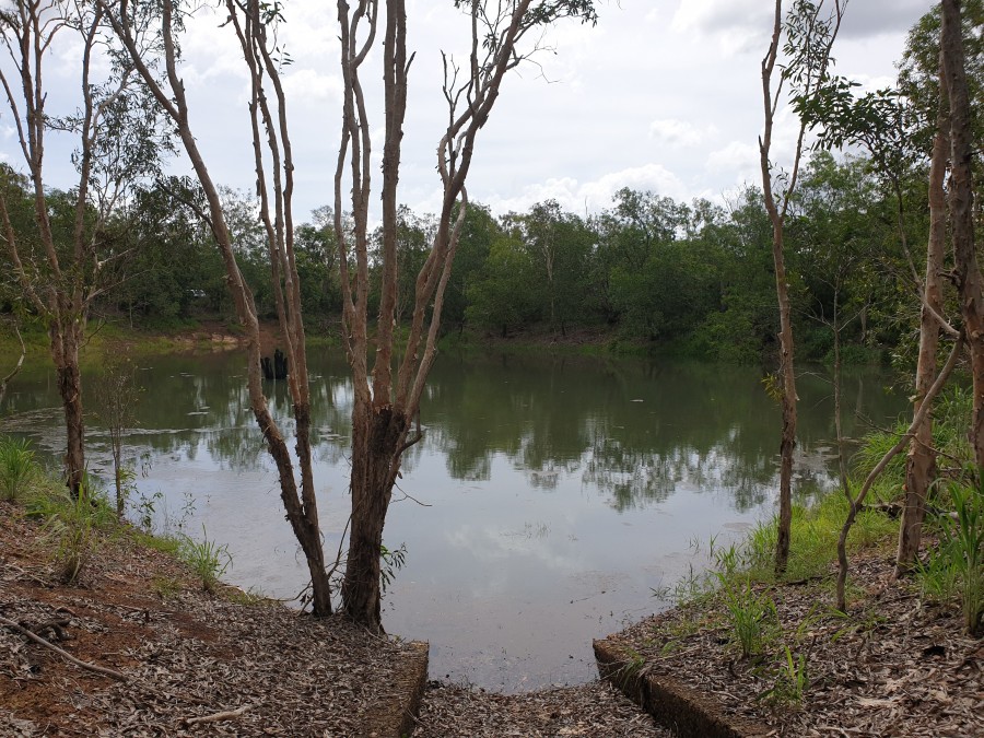 Real Estate in Berry Springs