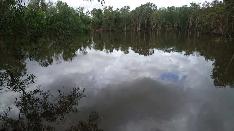 Real Estate in Berry Springs