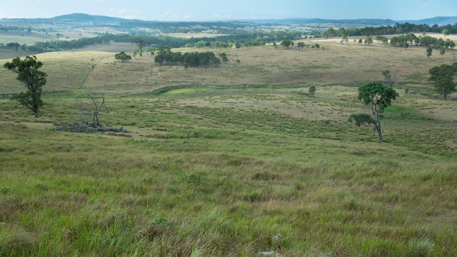 Property For Sale in Tenterfield