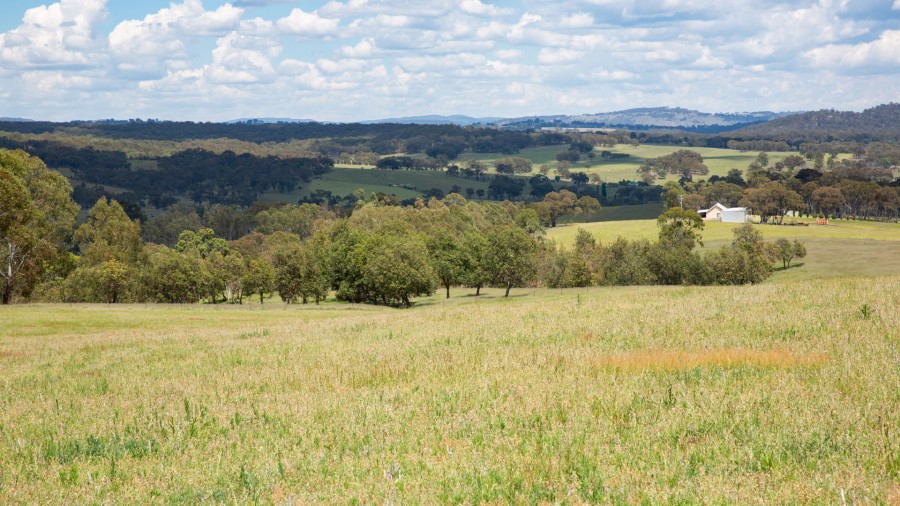 Property For Sale in Tenterfield