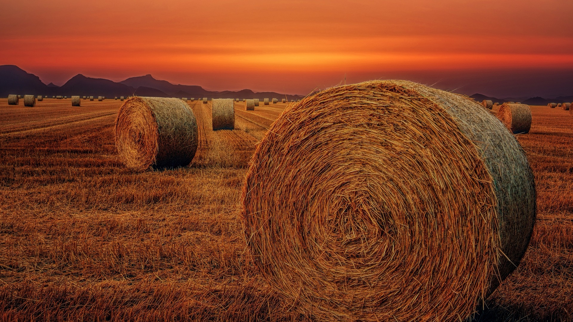 North West Real Estate & Livestock