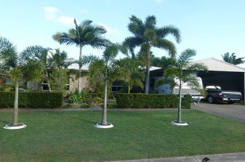 Property in Bucasia - Leased