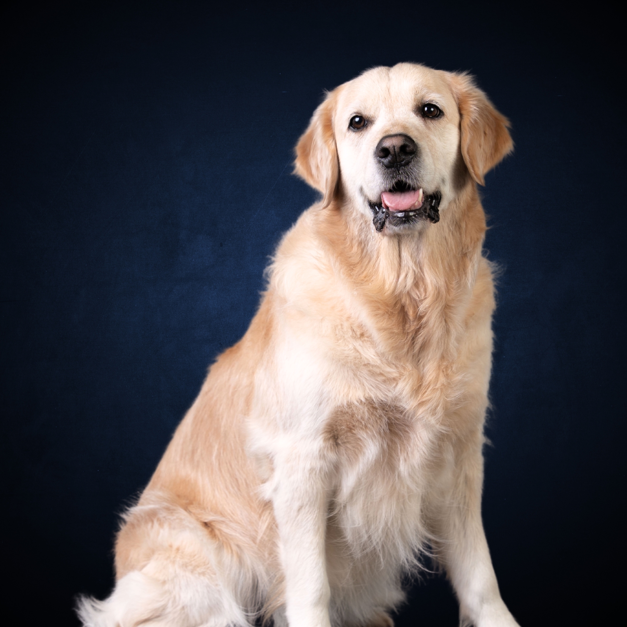 Picture of Lily Wong