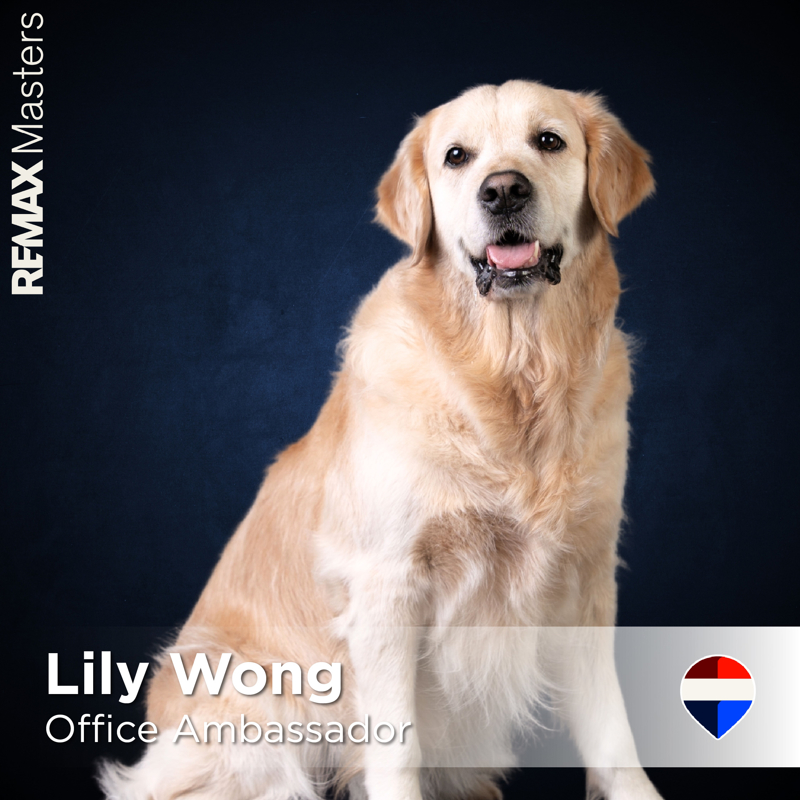 Picture of Lily Wong